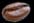Coffee Bean