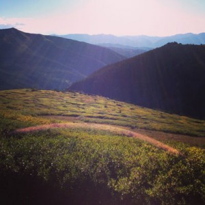 alpine-in-the-fall