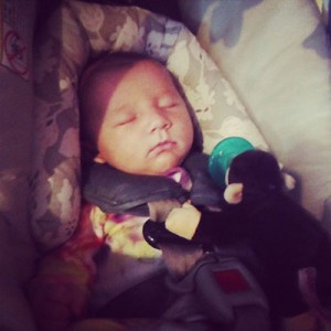 Lily Ann Waldron