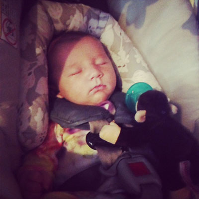 Lily Ann Waldron